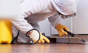 Best Fumigation Services  in Mill City, OR